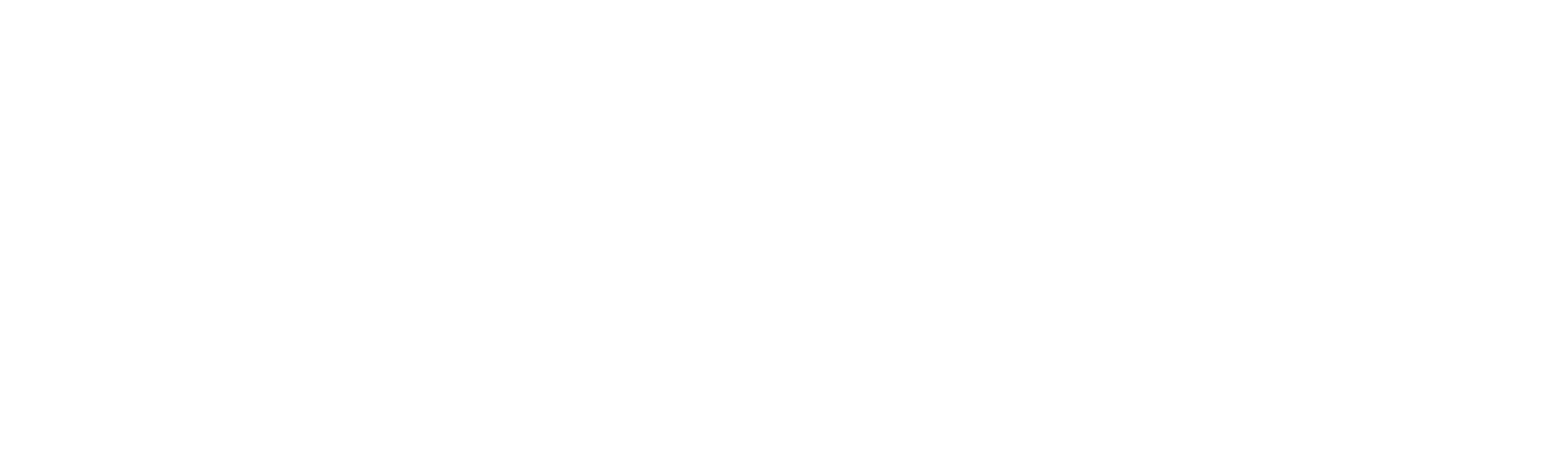 Trellis Digital Agency